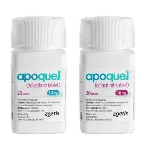 Dog allergy top medicine apoquel