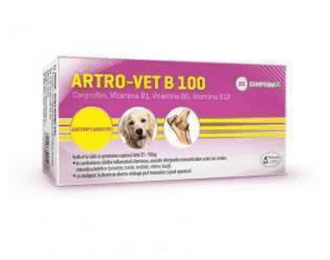 Dog Supplies ARTRO–VET B 100 - Carprofen + B Multivitamins - Pain and Joint Anti-inflammatory Non-Steroidal for Dogs - FastAndSafeStoreFastAndSafeStore