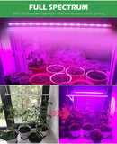 NEW LED Grow Light For Indoor 220V 75 LEDs 50cm LED Grow Plants 1 - 6pcs with EU Plug - Full Spectrum Light - FastAndSafeStoreFastAndSafeStore