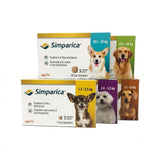 A high-resolution product display of six Zoetis Simparica boxes for dogs, showcasing different dosage amounts and weight ranges with representative dog breeds (Golden Retriever, Corgi, Chihuahua, Maltese, Dachshund).