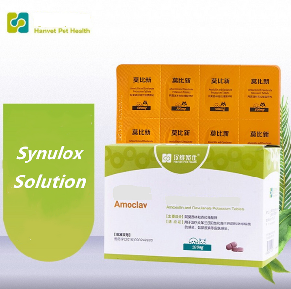 Amoclav-Amoxicillin and Clavulanate Potassium Tablets (Synulox Alternative)