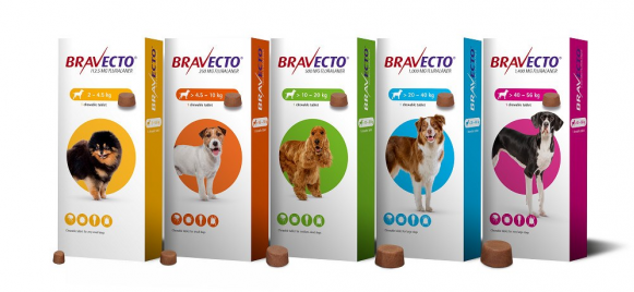 Dog Supplies Bravecto Chews for Dogs (MSD®) - FastAndSafeStoreFastAndSafeStore