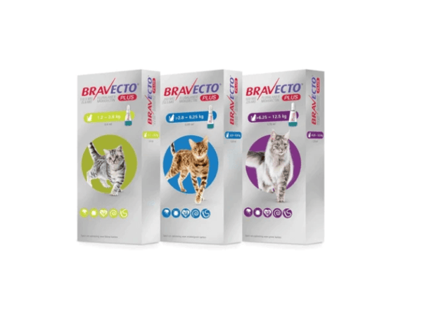 Bravecto Plus Spot On - Cat Flea, Thick and Dewormer - FastAndSafeStoreFastAndSafeStore