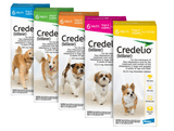 Dog Supplies Credelio Antiparsitic for Dogs and Cats - FastAndSafeStoreFastAndSafeStore