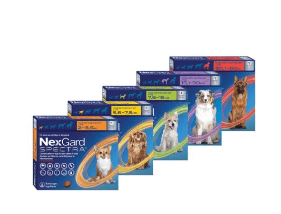 Pet Flea & Tick Control NexGard SPECTRA® complete parasite protection, all in one tasty chew - FastAndSafeStoreFastAndSafeStore