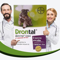 Drontal Plus Allwormer for All Size Dogs and Puppies - FastAndSafeStoreFastAndSafeStore