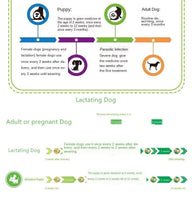 Drontal Plus Allwormer for All Size Dogs and Puppies - FastAndSafeStoreFastAndSafeStore
