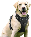 Dog Harness, No-Pull Pet Harness with 2 Leash Clips, Adjustable Soft Padded Dog Vest, Reflective No-Choke Pet with Easy Control - FastAndSafeStoreFastAndSafeStore