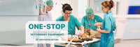 Rapid Test Kit FIV Ab FeLV Ag Test - FastAndSafeStoreFastAndSafeStore