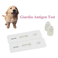 Giardia Ag Test for Dogs Giardia detection - FastAndSafeStoreFastAndSafeStore