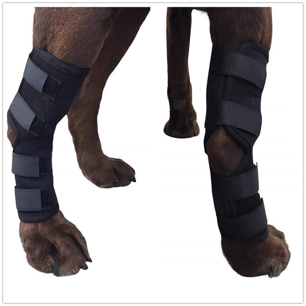 Extra Supportive Dog Canine Rear Leg Hock Joint Wrap Protects Wounds Prevents Injuries and Sprains Helps Arthritis - FastAndSafeStoreFastAndSafeStore