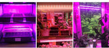 NEW LED Grow Light For Indoor 220V 75 LEDs 50cm LED Grow Plants 1 - 6pcs with EU Plug - Full Spectrum Light - FastAndSafeStoreFastAndSafeStore