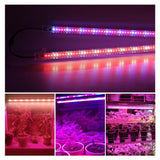 NEW LED Grow Light For Indoor 220V 75 LEDs 50cm LED Grow Plants 1 - 6pcs with EU Plug - Full Spectrum Light - FastAndSafeStoreFastAndSafeStore