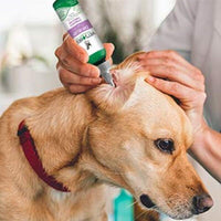 Vet's Best Ear DRY Relief Wash Cleaner for Dogs, 4 oz 16 oz Refill Vet formulated Alcohol free - FastAndSafeStoreFastAndSafeStore