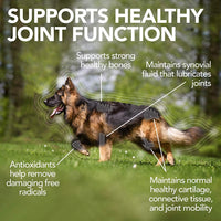 Advanced Hip and Joint Dog Supplements Formulated with Glucosamine and Chondroitin to Support Dog Joint and Cartilage Health - FastAndSafeStoreFastAndSafeStore