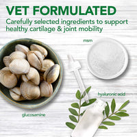 Advanced Hip and Joint Dog Supplements Formulated with Glucosamine and Chondroitin to Support Dog Joint and Cartilage Health - FastAndSafeStoreFastAndSafeStore