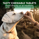 Advanced Hip and Joint Dog Supplements Formulated with Glucosamine and Chondroitin to Support Dog Joint and Cartilage Health - FastAndSafeStoreFastAndSafeStore