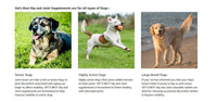 Advanced Hip and Joint Dog Supplements Formulated with Glucosamine and Chondroitin to Support Dog Joint and Cartilage Health - FastAndSafeStoreFastAndSafeStore