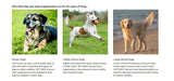 Advanced Hip and Joint Dog Supplements Formulated with Glucosamine and Chondroitin to Support Dog Joint and Cartilage Health - FastAndSafeStoreFastAndSafeStore