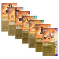 Bayer Advocate Advantage Multi K9 Advantix Flea, Tick and Mosquito Prevention For Cat & Dog - FastAndSafeStoreFastAndSafeStore