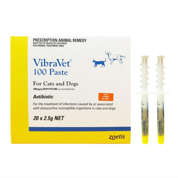 antibiotics VibraVet 100 Paste For Cats and Dogs Anti-inflammatory Cream with Chocolate - FastAndSafeStoreFastAndSafeStore